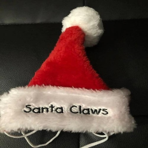 Santa Paws/Santa Claws Embroidery File - The3BlackCats Embroidery and Custom Gifts