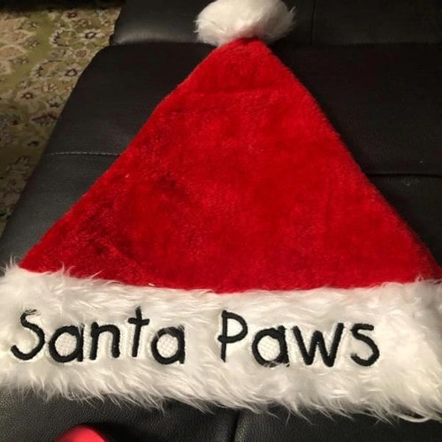 Santa Paws/Santa Claws Embroidery File - The3BlackCats Embroidery and Custom Gifts